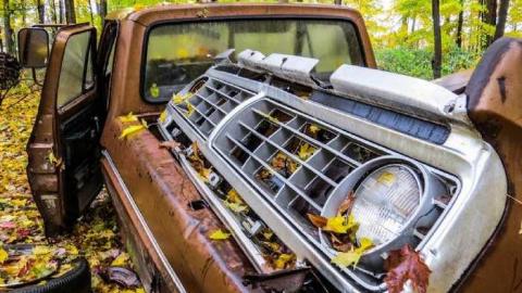 Map to a New Species? - yv10.jpg