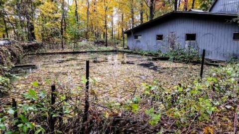 Map to a New Species? - 12.jpg