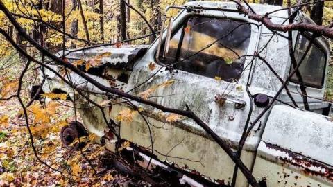 Map to a New Species? - 13.jpg