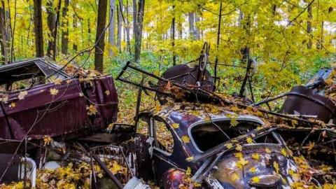 Map to a New Species? - 14.jpg