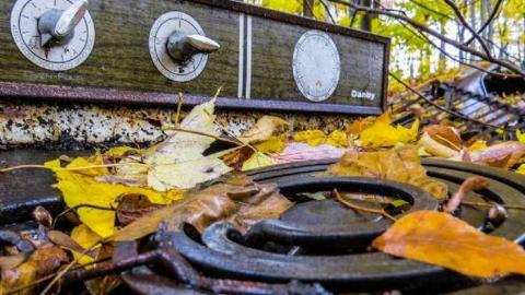 Map to a New Species? - 15.jpg