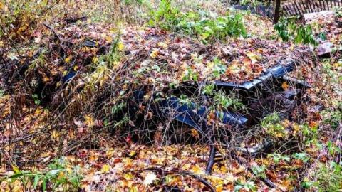 Photo from Map to a New Species?