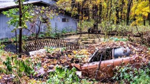 Map to a New Species? - 18.jpg