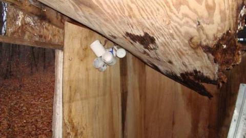 Backwoods Sugar Shack photo 4