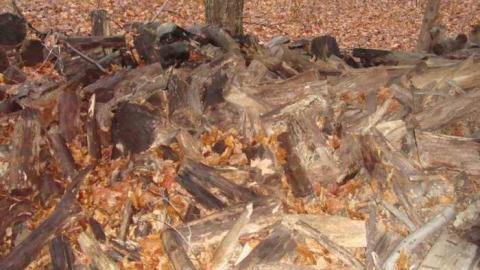 November 17th 2013 - Backwoods-Sugar-Shack7.jpg