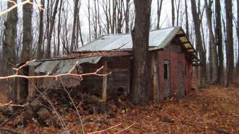 Backwoods Sugar Shack photo 2