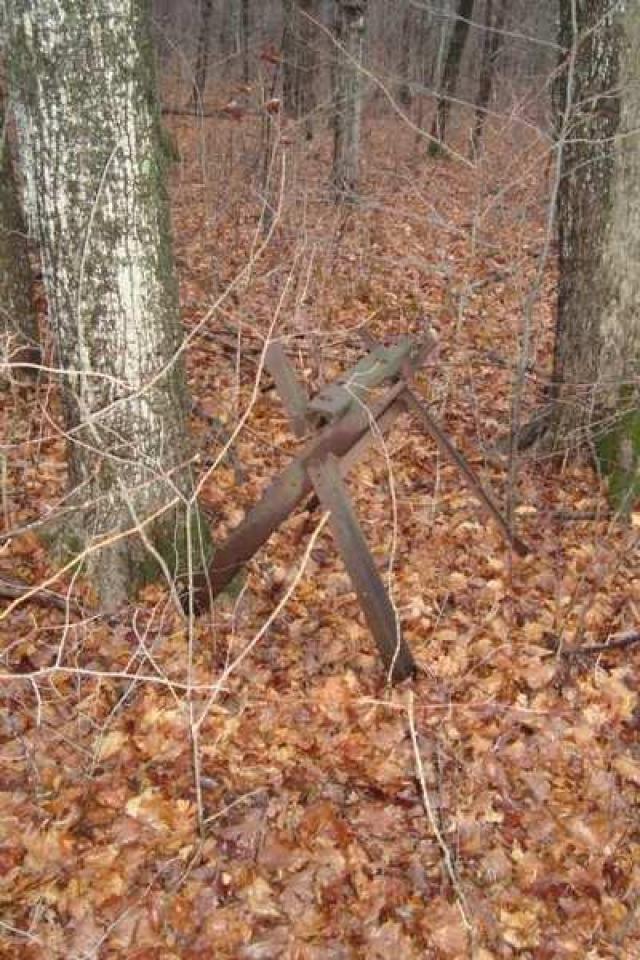 Backwoods Sugar Shack photo 5