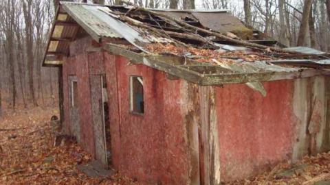 Backwoods Sugar Shack photo 3