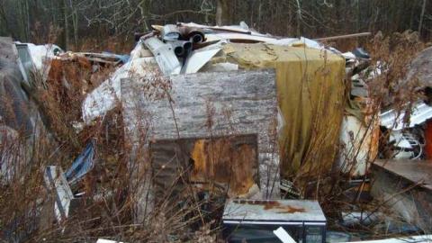 November 17th 2013 - DSC02766.jpg