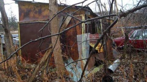 November 17th 2013 - DSC02769.jpg