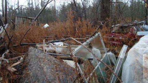 November 17th 2013 - DSC02770.jpg