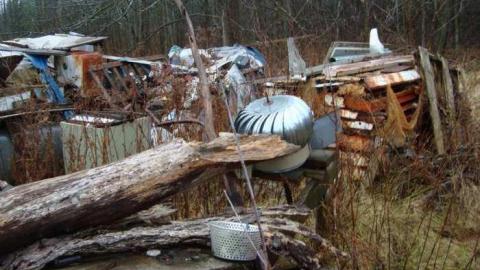 November 17th 2013 - DSC02771.jpg