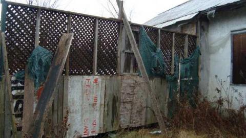 November 17th 2013 - DSC02772.jpg