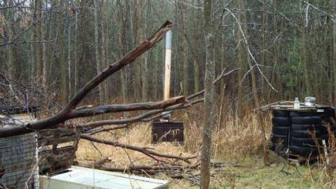 November 17th 2013 - DSC02782.jpg