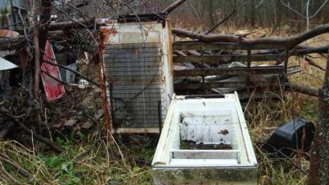 November 17th 2013 - DSC02793.jpg