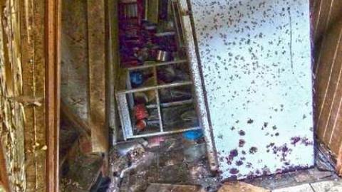 Dark Matter - 20.jpg