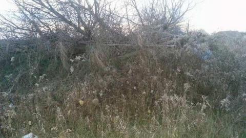 Pefferlaw Farm and Silo photo 4