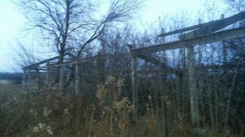 Barn and Silo - Pefferlaw-Farm-and-Silo6.jpg