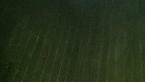 Pefferlaw Farm and Silo photo 2