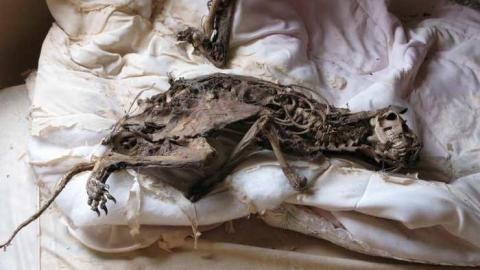 Nov 10/13 - IMG_6002.jpg