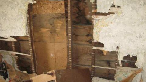 Nov 10/13 - IMG_6031.jpg