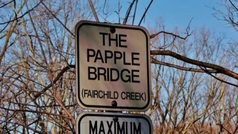 Papple road trail - Derailed4.jpg