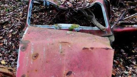 Papple road trail - Derailed8.jpg