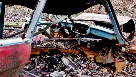 Papple road trail - Derailed9.jpg