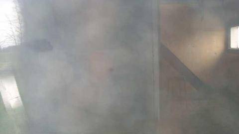 scouting - 100_0433.jpg