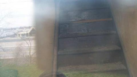 scouting - 100_0434.jpg