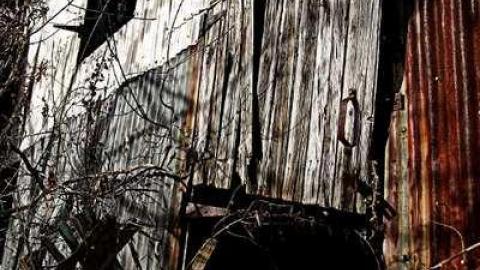 November 2013 - IMG_8293.jpg