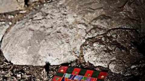 November 2013 - IMG_8383.jpg