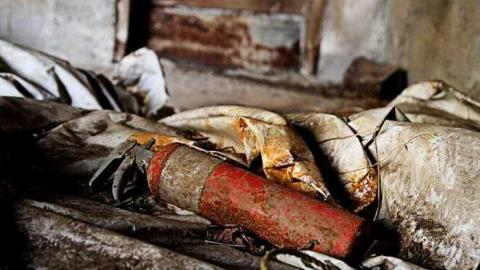 November 2013 - IMG_8317.jpg