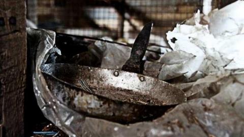 November 2013 - IMG_8334.jpg