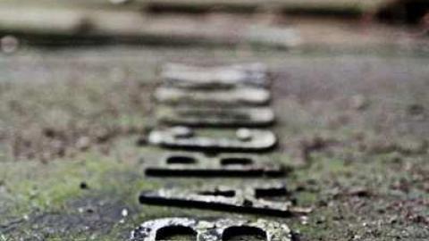 November 2013 - IMG_8353.jpg