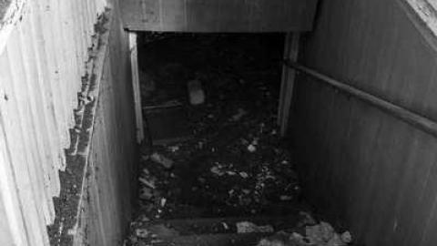 Photo from Have a Little Faith