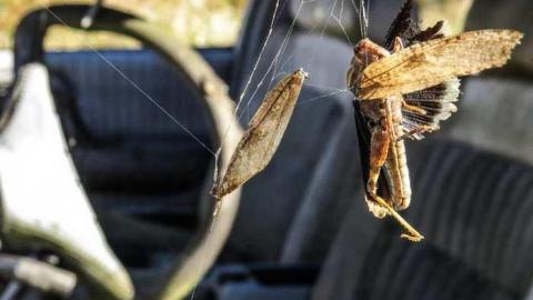 Keeper of the Quarry - Keeper-of-the-Quarry4.jpg