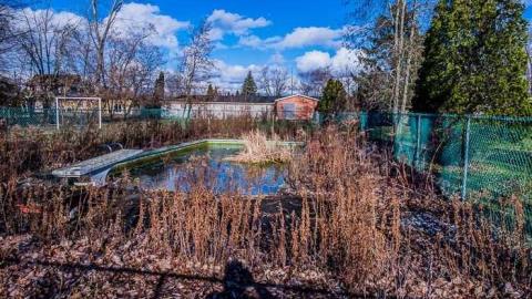 Swimmin' Pool, Movie Stars - Grand-Inn14.jpg