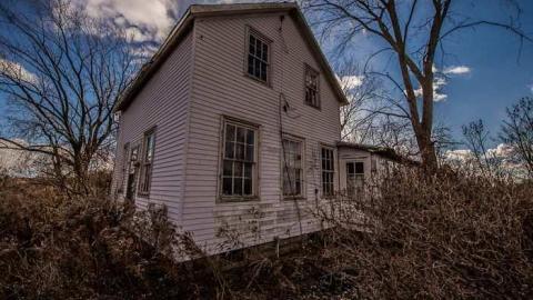 OPP and the Lee cover photo