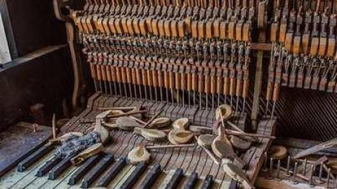 OPP and the Lee - Lee-5336.jpg