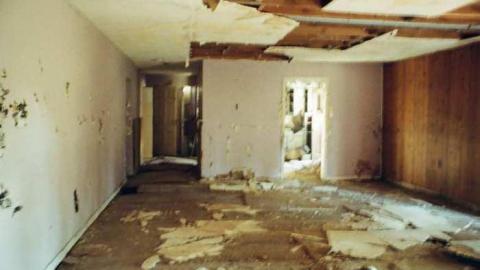 Photo from 20/11/2013