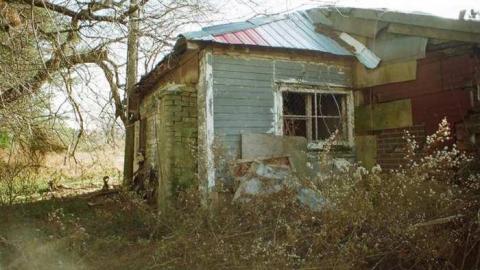 Photo from 20/11/2013