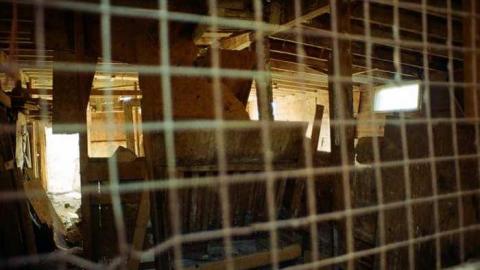 20/11/2013 - 36240003.jpg