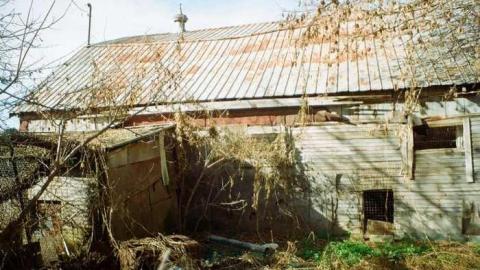 20/11/2013 - 36240004.jpg