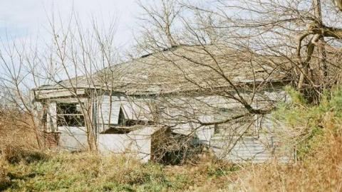 20/11/2013 - 36240007.jpg