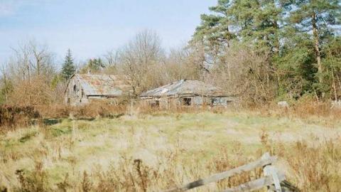 20/11/2013 - 36240008.jpg