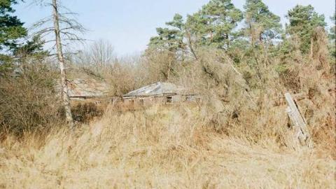 Photo from 20/11/2013