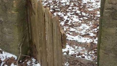 14th Sideline Bungalow - Sideline-Bungalow4.jpg