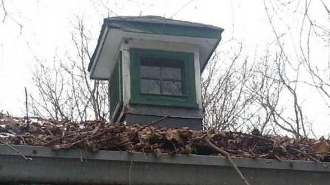 14th Sideline Bungalow - Sideline-Bungalow6.jpg