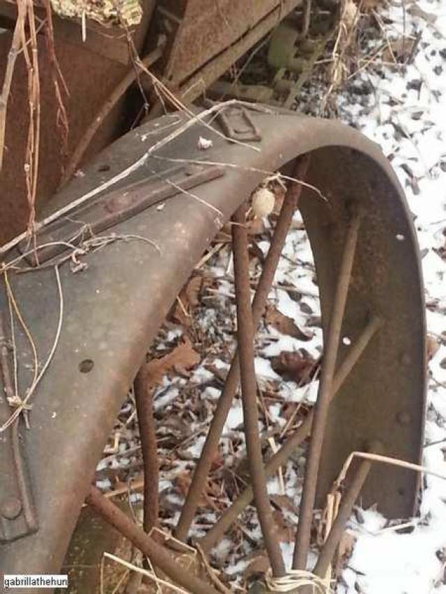 Sideline Bungalow photo 4